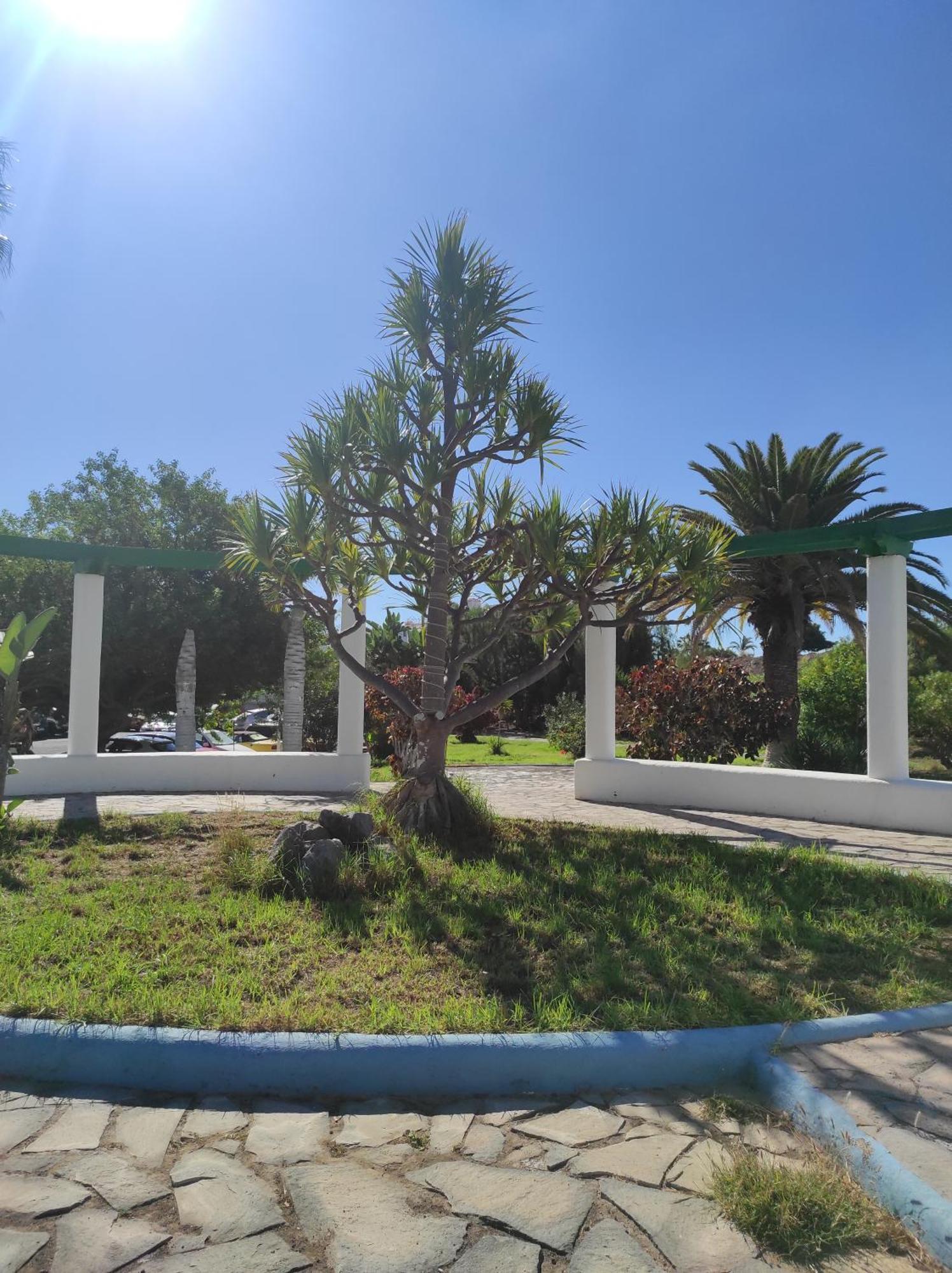 Maria Luxury Apartament Golf Del Sur Tenerife Σαν Μιγκέλ ντε Αμπόνα Εξωτερικό φωτογραφία